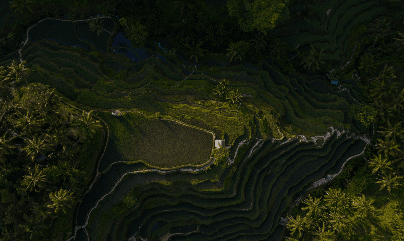green landscape background