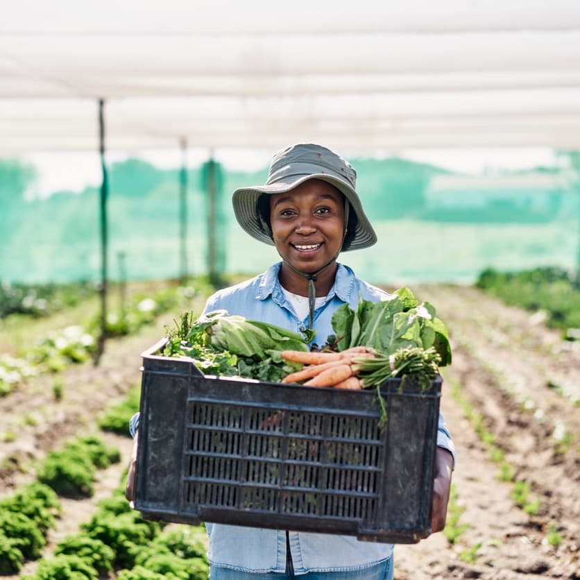 Image of Sustainable Agriculture for South Africa