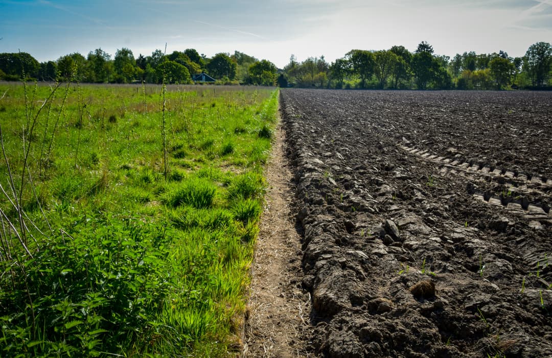 Healthy Soils