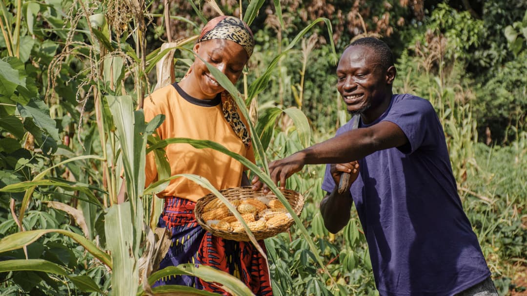 Zero Hunger