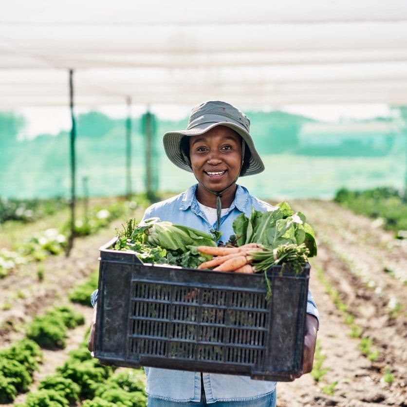 Image of Sustainable Agriculture for South Africa