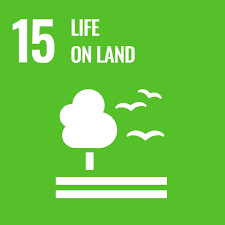 Life on Land SDG Image