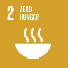 SDG image